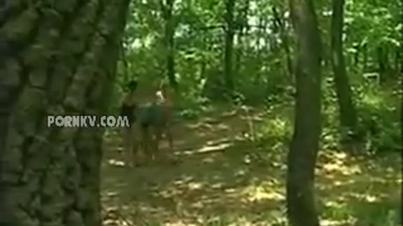 Granny fucking grandsons friend in the woods