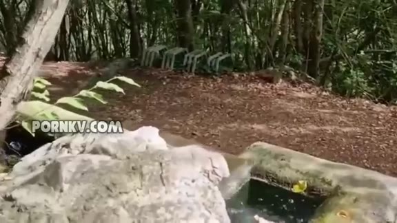 Blowjob and sex with an older voyeur in the woods